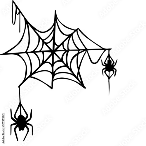 Linear sketch of a web with a spider.Vector graphics.