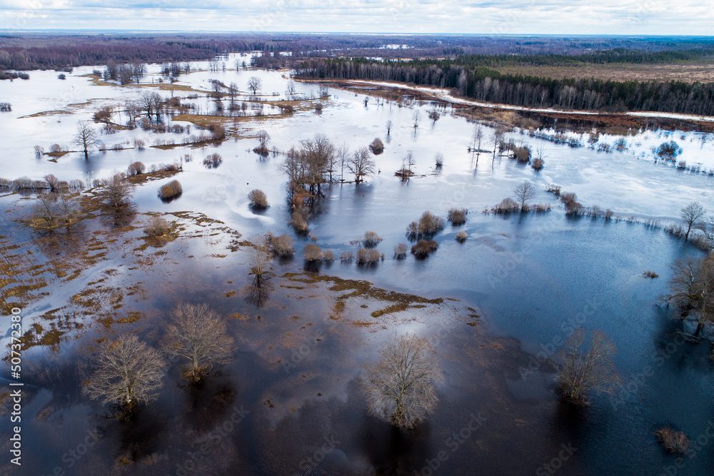 Flooded landscape during so called fifth season in Soomaa National Park, Estonia