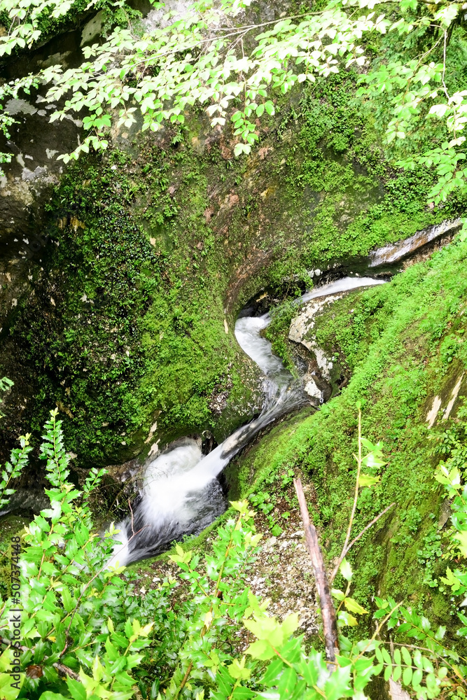 Small mountain creek at Abkhazian forest Small mountain creek at Abkhazian forest