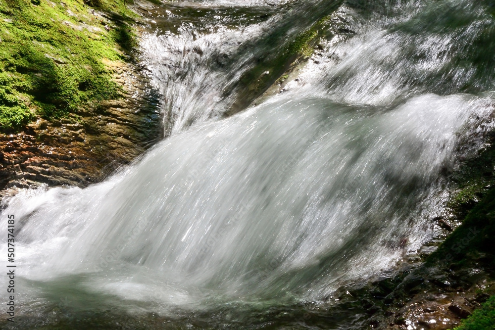 Obraz premium Small mountain creek with waterfall at the Abkhazian forest, Kodori gorge