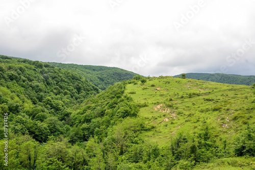 Alpine meadows, foggy mountains at Abkhazia (Kodori Gorge) photo