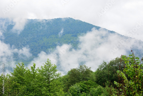 Alpine meadows  foggy mountains at Abkhazia  Kodori Gorge 