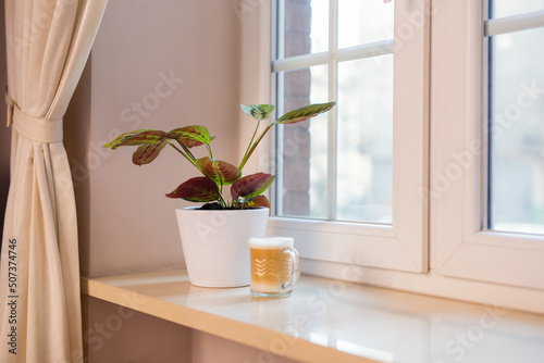 Cuadro en lienzo Objects on a window sill in a domestic room