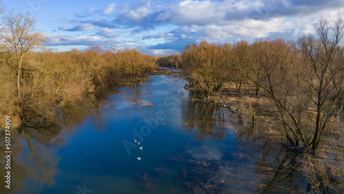 reflection of trees in the water,  swans, Kępa Dzikowska