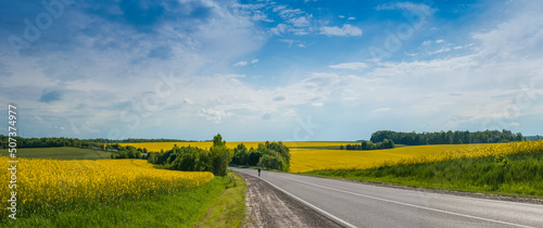 panorama on the road, beautiful view of yellow and green fields and blue sky
