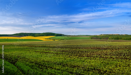 a field of soybean sprouts in the foreground, a panoramic view of rapeseed and green fields and the blue sky above