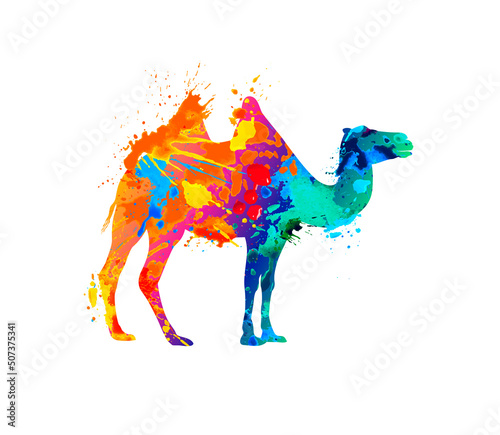 Vector bactrian camel silhouette of splash paint