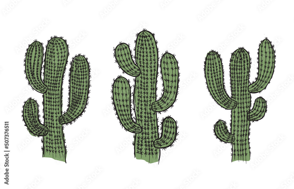 Cactus hand drawn illustration, vector.
Cactus hand drawn illustration, vector.