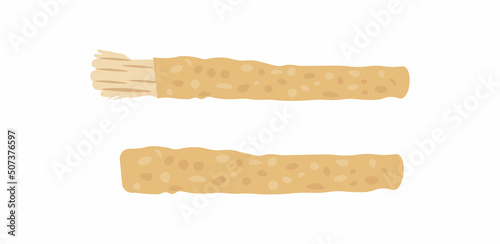 Siwak or Miswak. Islamic traditional toothbrush vector illustration photo