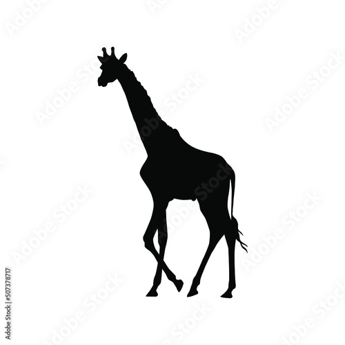 A collection of silhouettes of African animals. Giraffe, elephant, antelope, rhino, camel, leopard, gazelle, mountain goat, leopard. Vector illustration.