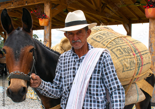 hombre mayor, antioqueño con una mula al lado  photo