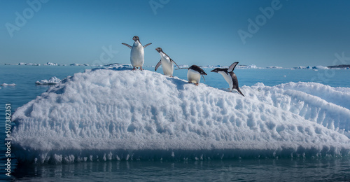 Adelie penguins on small ice berg in Antarctica photo