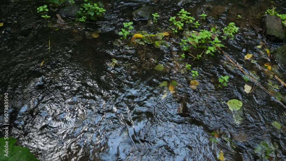 mountain stream water, swift stream river mountain stream water, swift stream river