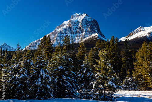 Mount Hector. Banff National Park Alberta, Canada