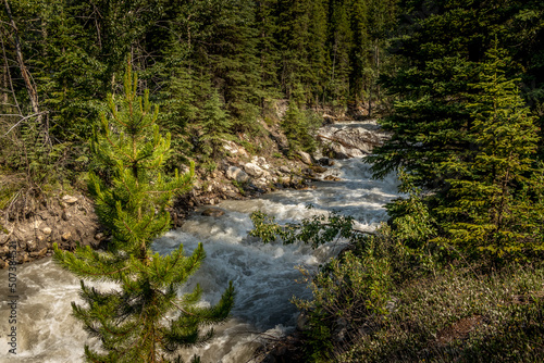 Rampart Creek through the trees Banff National Park Alberta Canada