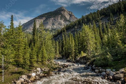Rampart Creek flows from Mount Wilson Banff National Park Alberta Canada