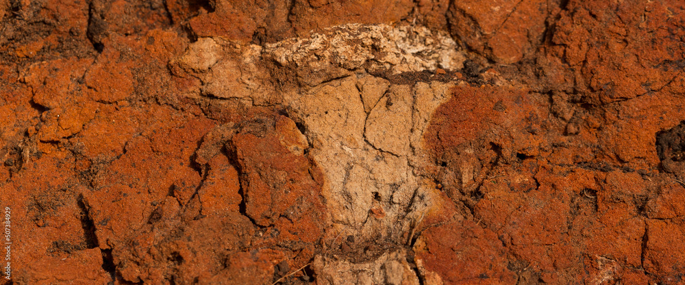 Sedimentary rocks with a high content of iron oxide. Red soil, loam. The texture of the soil. Sedimentary rocks with a high content of iron oxide. Red soil, loam. The texture of the soil.