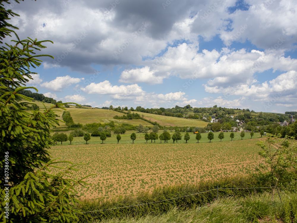 Rolling hills, agriculture and white puffy clouds  in Limburg, the Netherlands 