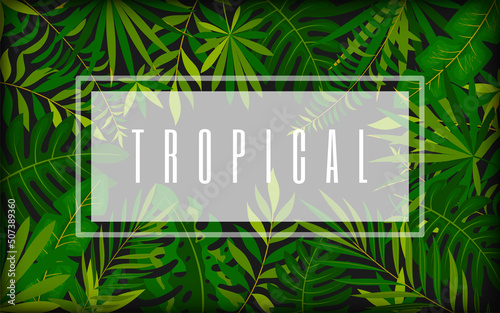 Tropical dense foliage trendy banner card dark flat style. Luxury background elite black screen saver template promotional organic exotic cosmetics. Themed party invitation card beauty salon visit