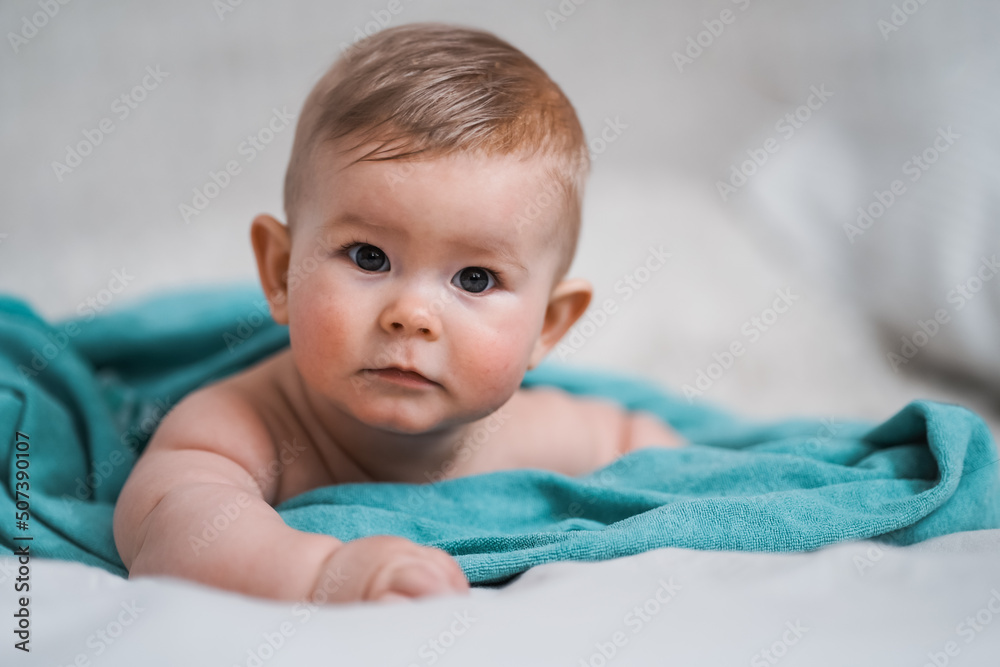 cute little naked 6 month old baby lying on stomach and looking up in prone position after bathing wrapped in turquoise towel at home cute little naked 6 month old baby lying on stomach and looking up in prone position after bathing wrapped in turquoise towel at home