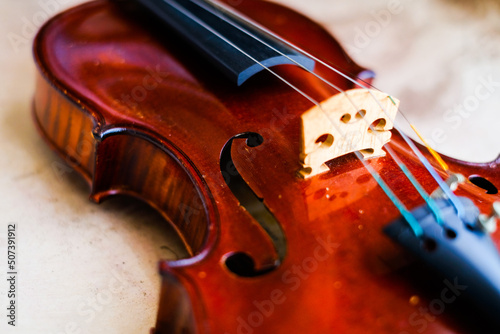 Image of violin, stringed instrument,classical music