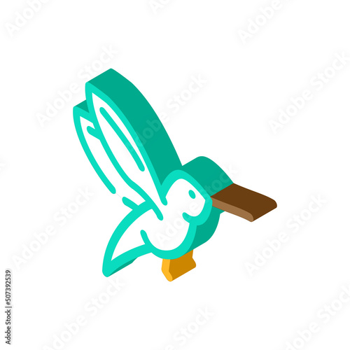 colibri little bird isometric icon vector. colibri little bird sign. isolated symbol illustration