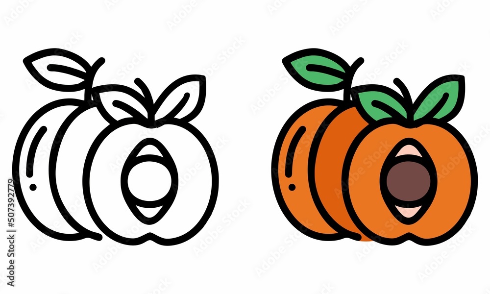 Illustration Vector Graphic of apricot fruit, fruit icon Illustration Vector Graphic of apricot fruit, fruit icon