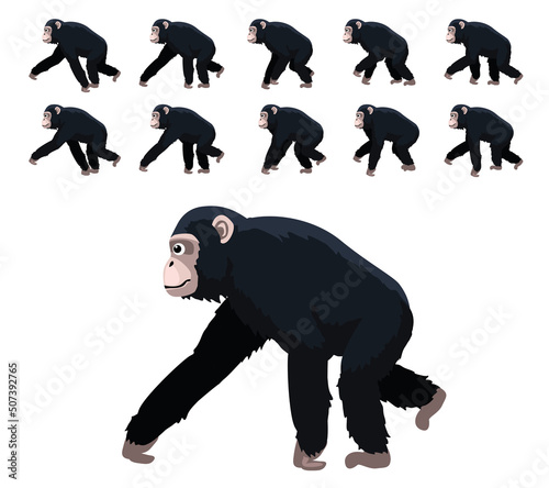 Animal Animation Primate Ape Chimpanzee Moves Frame Sequence Cute Cartoon Vector Illustration
