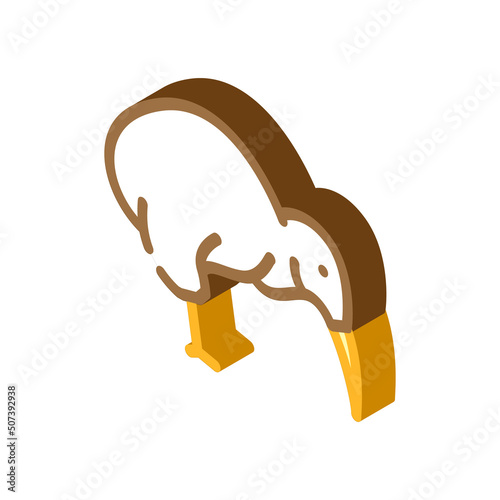 toucan bird isometric icon vector. toucan bird sign. isolated symbol illustration
