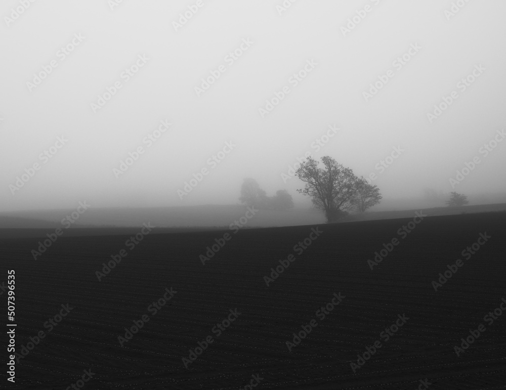 早朝の霧に包まれた北海道千歳市の農業地帯 / Agricultural area surrounded by fog in the early morning in Chitose, Hokkaido 早朝の霧に包まれた北海道千歳市の農業地帯 / Agricultural area surrounded by fog in the early morning in Chitose, Hokkaido