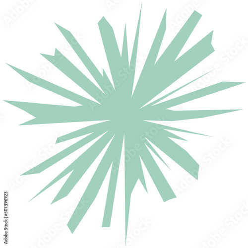 Ornament Shape Illustration