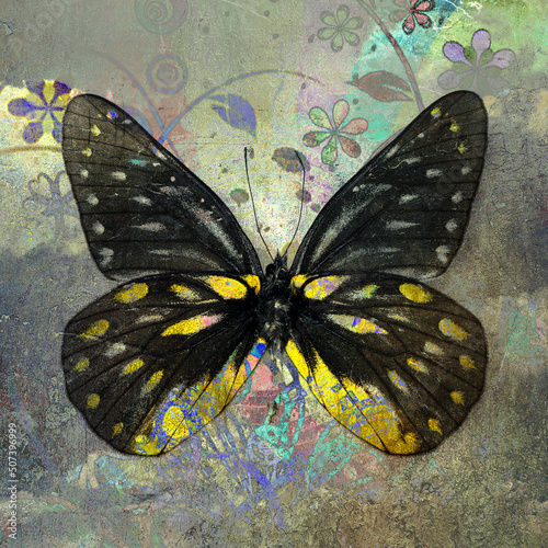 psychedelic butterfly background texture