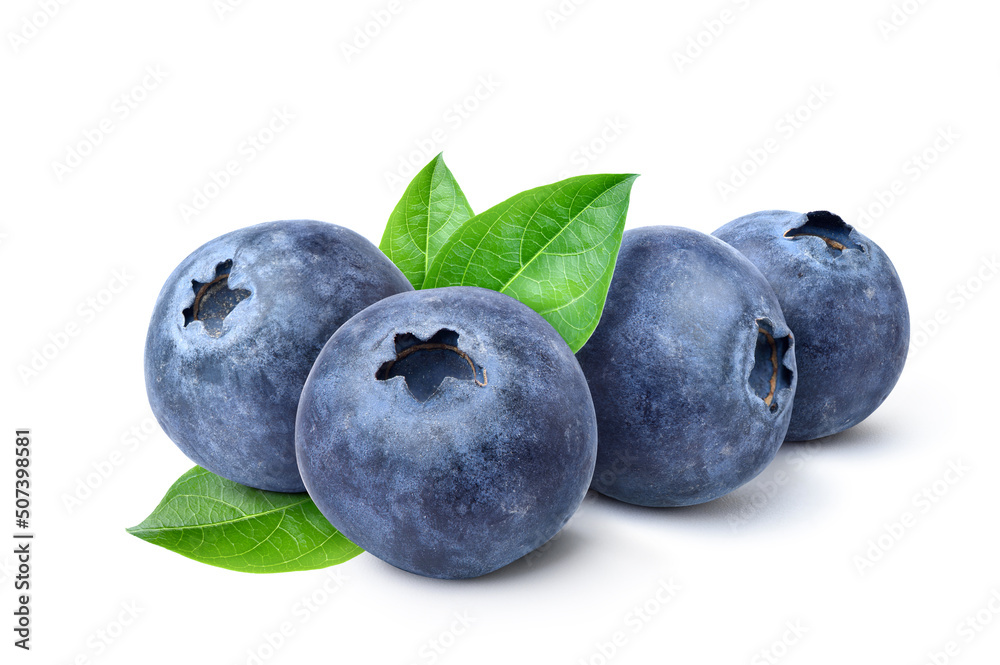 Obraz premium Blueberries with leaves isolated on white background