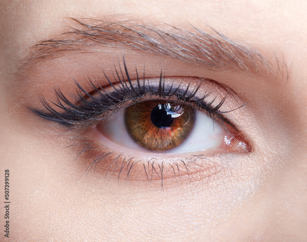 Closeup macro shot of human female eye with light pink eyes shadows Closeup macro shot of human female eye with light pink eyes shadows