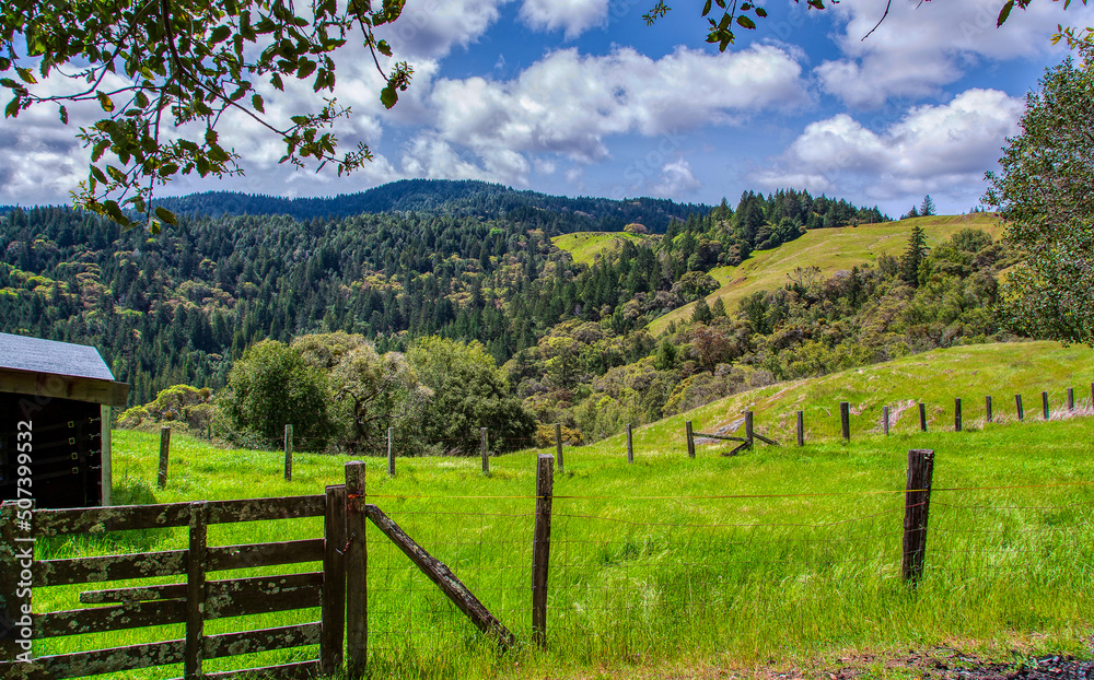 Fenced pasture in the mountains