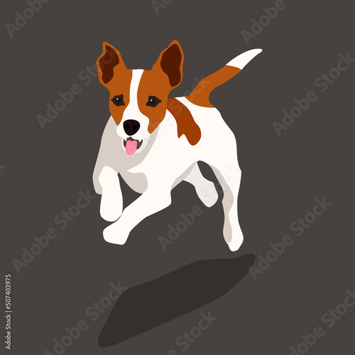 Jack russell terrier picture. Funny pet dog flat vector illustration. Fox hunter small terrier, in full growth view