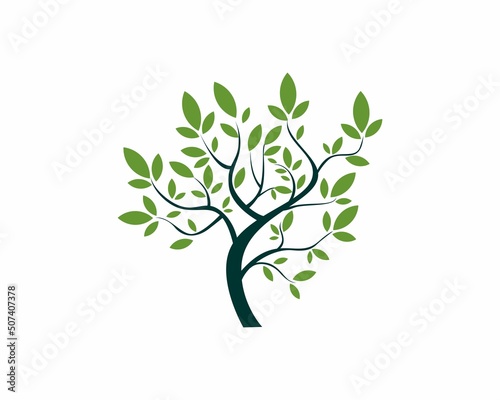 Logo green eco vector design