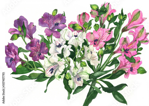 花の絵／アルストロメリア。花の表情を華やかにかわいく素敵に表現した水彩画です。花好きな一人の作家による作品集です。