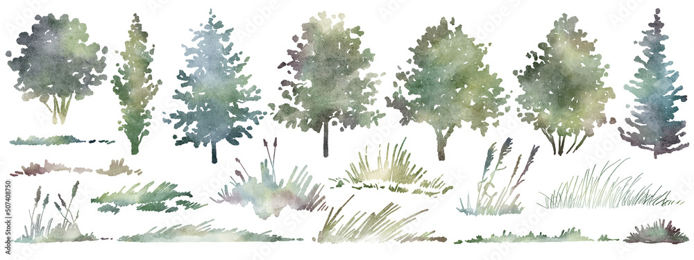 Watercolor hand drawn forest set with delicate illustration of different types of deciduous, coniferous trees, spruce, grass, Elements isolated on a white background. Woodland silhouette collection. - obrazy, fototapety, plakaty 