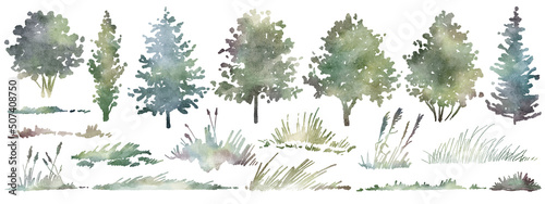 Watercolor hand drawn forest set with delicate illustration of different types of deciduous, coniferous trees, spruce, grass, Elements isolated on a white background. Woodland silhouette collection.
