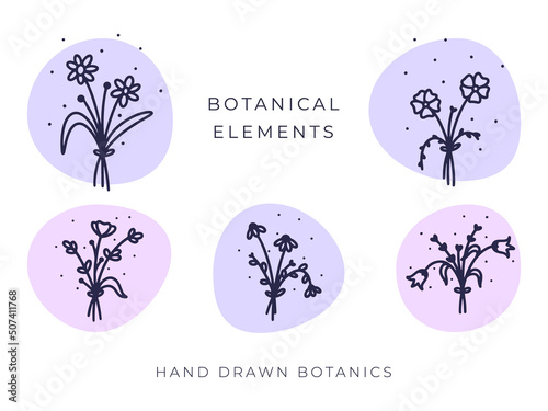 Hand Drawn Botanical Elements