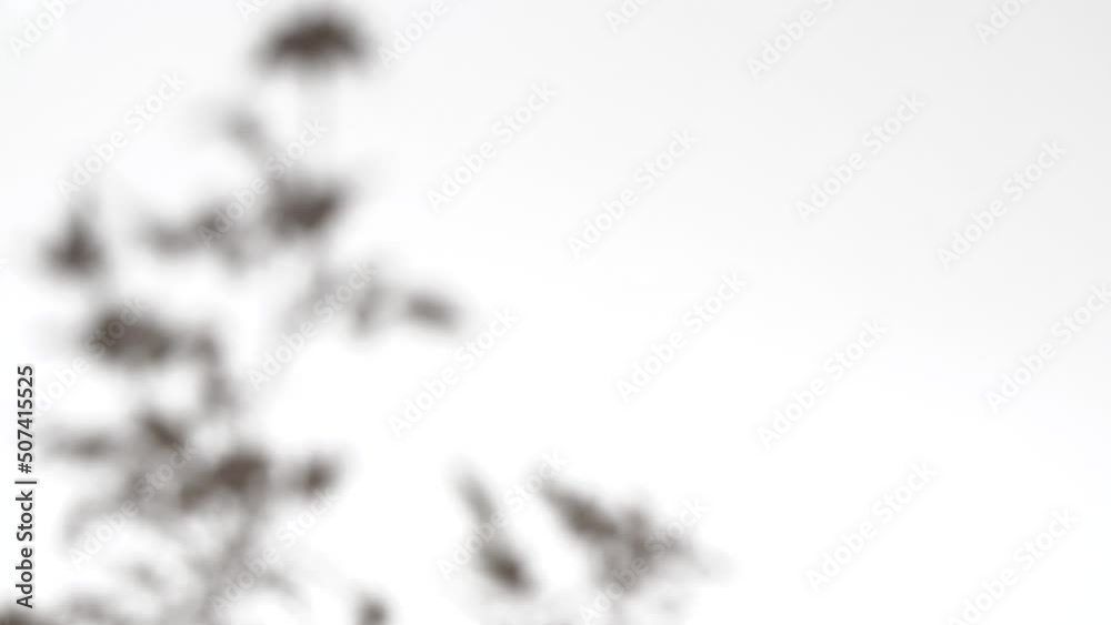 Closeup branch tree leaves silhouette shadow on wall, nature abstract background