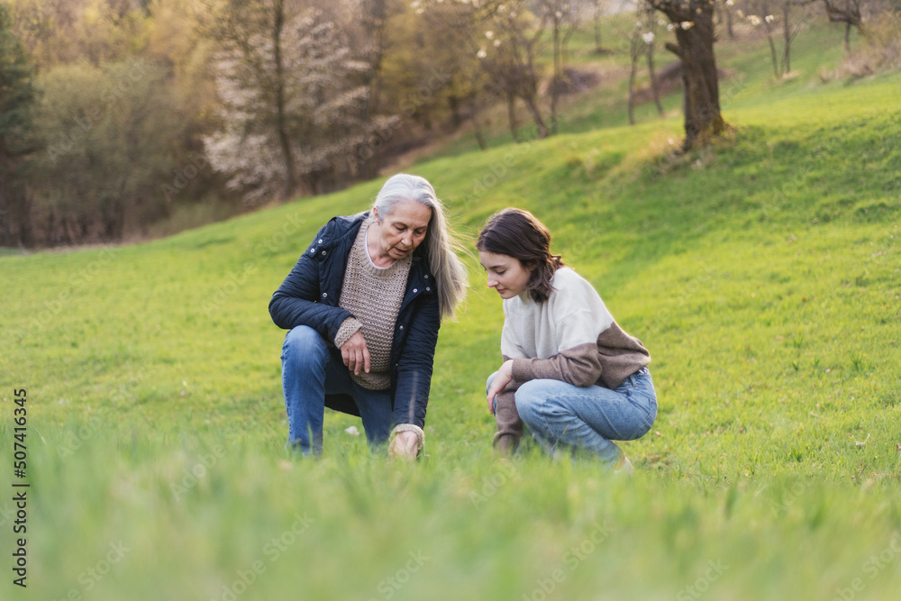 Happy senior grandmother with teenage granddaguhter on walk in nature picking herbs on spring day. Happy senior grandmother with teenage granddaguhter on walk in nature picking herbs on spring day.