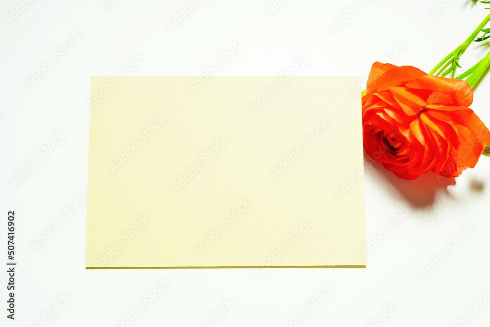 白背景にオレンジ色のラナンキュラスの花を一輪飾ったクリーム色のタイトル枠のモックアップ