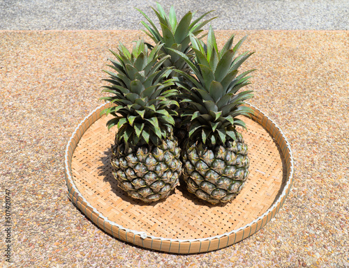 Group of fresh pineapple in woven bamboo trays that is tropical edible fruit's scientic name is Ananas comosus. photo