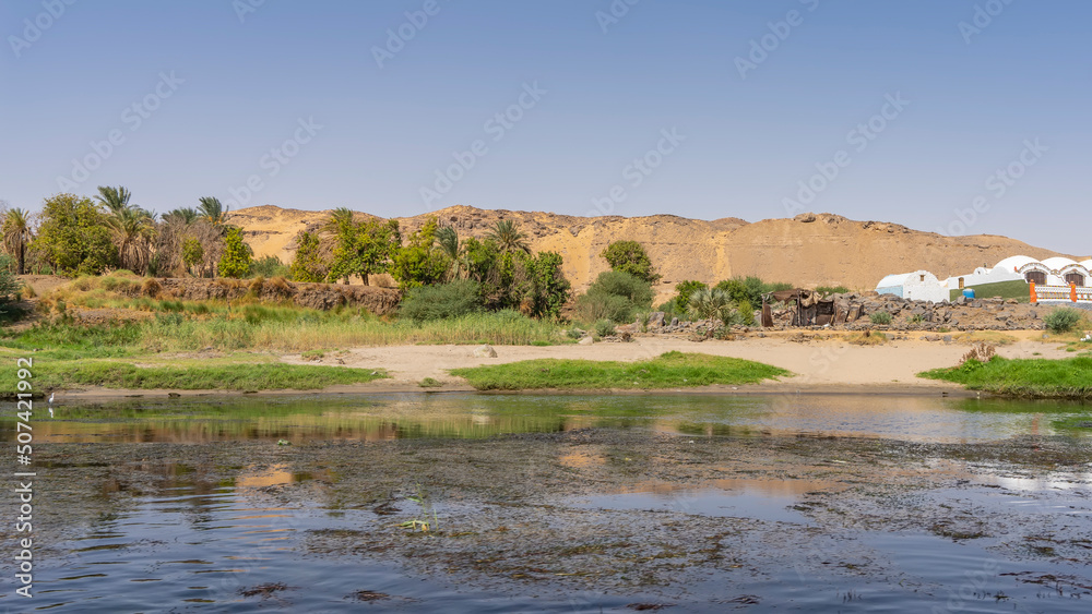 There is green vegetation on the river bank. Sand dunes against a clear blue sky. Water plants and duckweed are visible on the surface of the water. Egypt. Nile