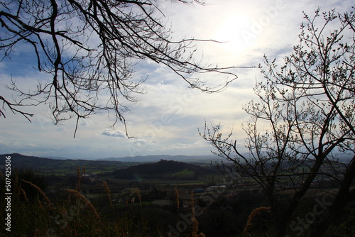 Dettagli naturali