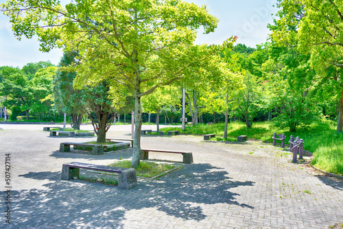 晴れた木漏れ日の公園