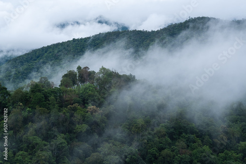 Landscape image of greenery rainforest mountains and hills on foggy day