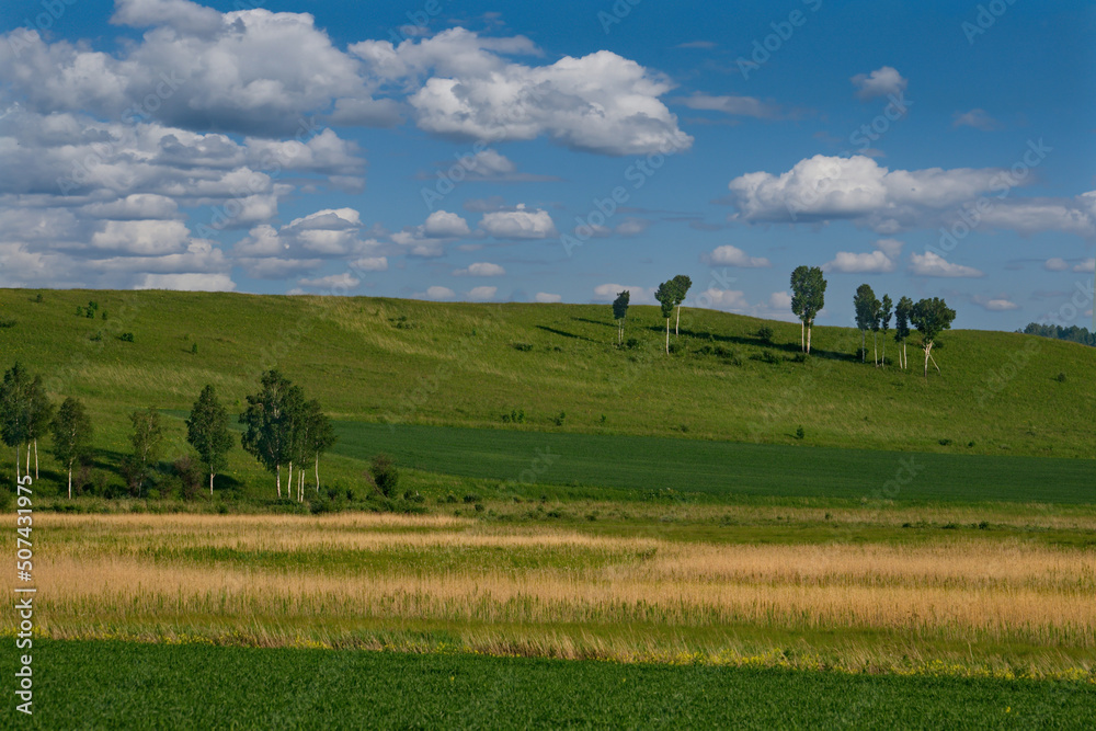 Russia. Krasnoyarsk Territory. Picturesque cloudy summer on hilly steppes with rare trees near the town of Sharypovo.